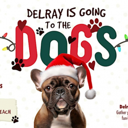 Delray Going to the Dogs