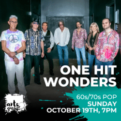 One Hit Wonders