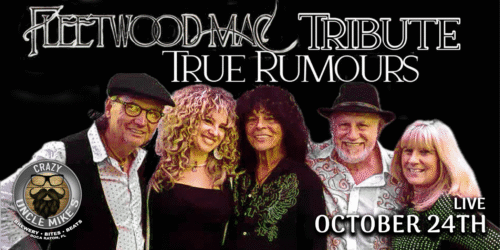 True Rumours Fleetwood Mac Tribute